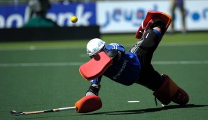 Rabobank Hockey World Cup 2014